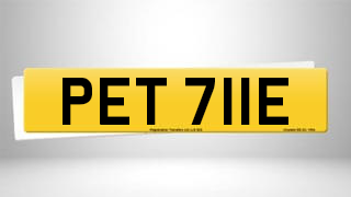 Registration PET 711E